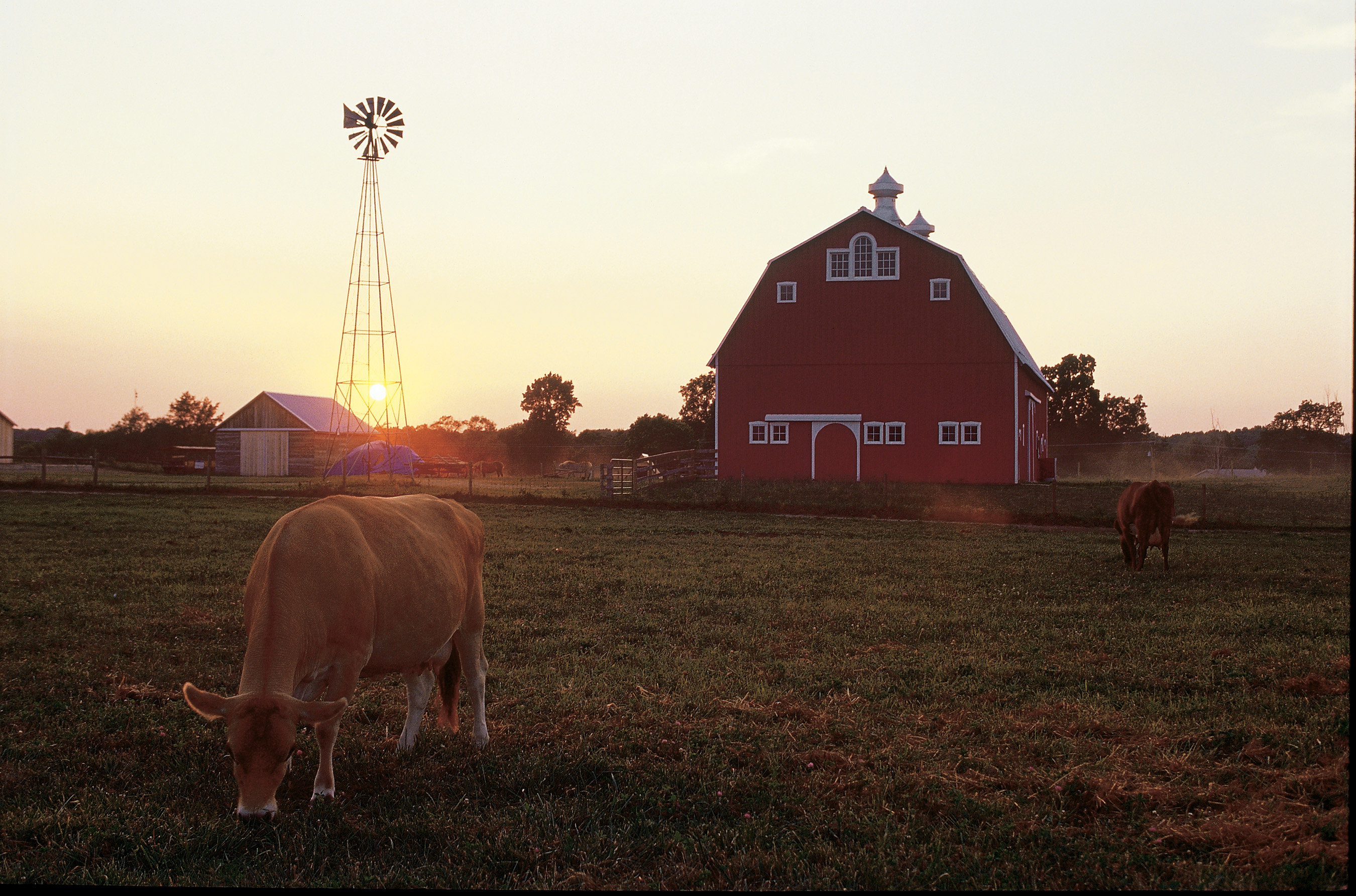 Barnyard at the 1920s-era Wabash Valley Living History Farm in Prophetstown State Park, near Lafayette.